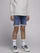 JJirick shorts Noos