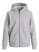 JJEbasic sweat zip hood.