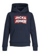 JJEcorp logo sweat hood.