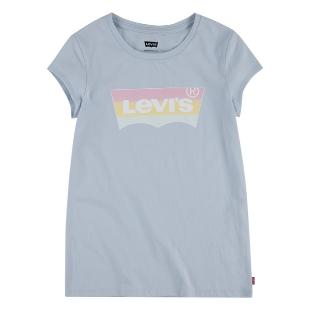 LVG SHORT SLV GRAPHIC TE SHIRT