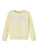 NKFBROBLE LS SWEAT LOOSE UNB BOX