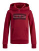 JJEcorp logo sweat hood.