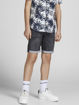 JJIRICK JJICON SHORTS 708