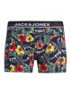 JACVENICE TRUNKS 3 PACK