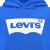 LVB-BATWING SCREENPRINT HOODIE