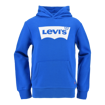 LVB-BATWING SCREENPRINT HOODIE