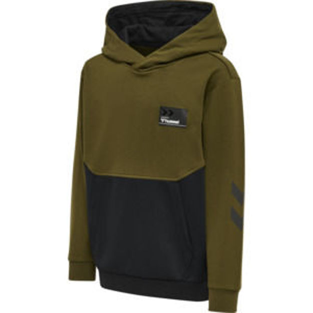 hmlEDWARD HOODIE