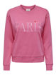 JDYPARIS L/S EMB SWEAT JRS NOOS