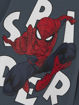 NMMJOURNEY SPIDERMAN LS TOP MARVEL