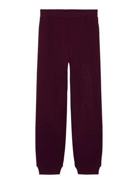 Nlnnetic l sweat pant