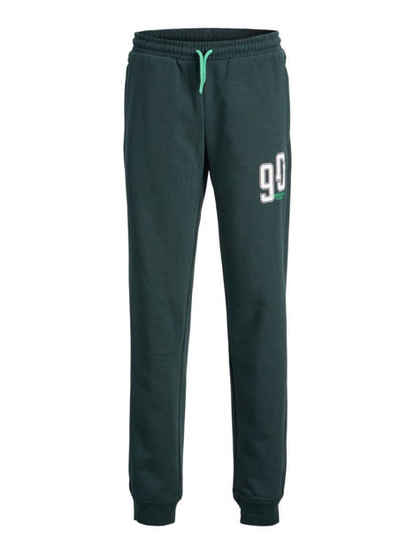 Jpsttribeca sweat pants