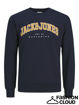 jjecaleb varsity sweat crew.